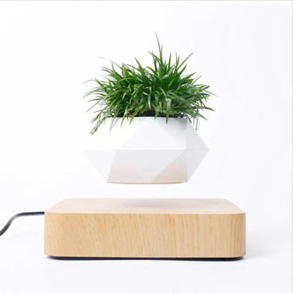 Airy Glass Terrarium Indoor Plant Holders - Luxicro