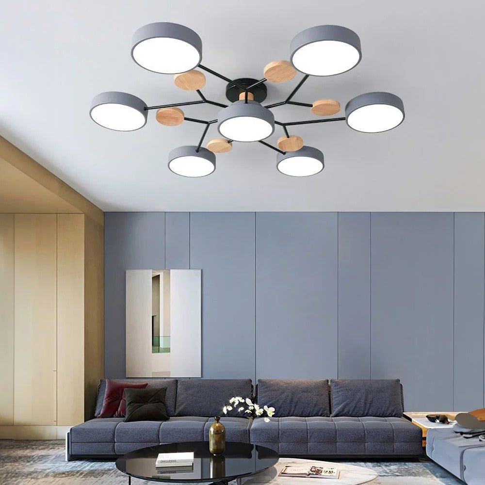 Sleek LED Ceiling Mount Lighting Fixture
