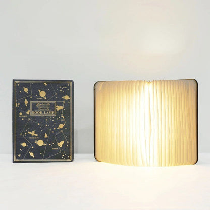 Contemporary Slim LED Desk Lamp