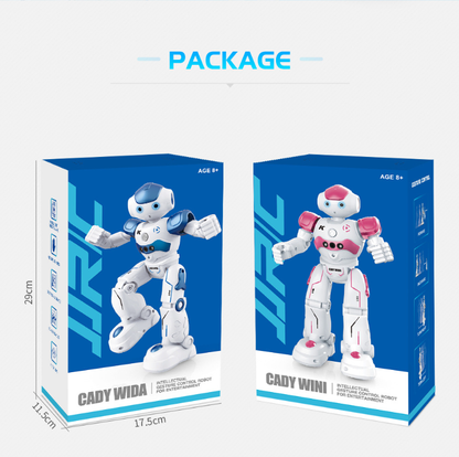 Cool Remote Control Robot Toy
