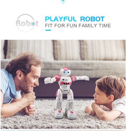 Cool Remote Control Robot Toy