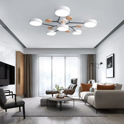 Sleek LED Ceiling Mount Lighting Fixture