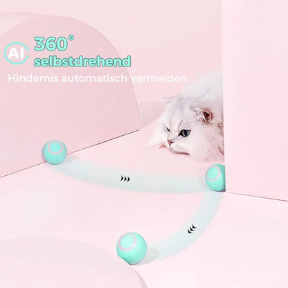 Fun Electronic Pet Play Ball