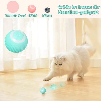 Fun Electronic Pet Play Ball