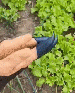 Durable Garden Work Gloves Waterproof