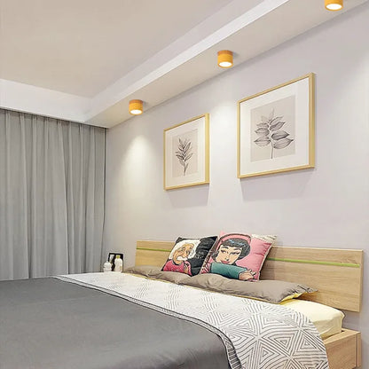 Slim Modern LED Ceiling Light
