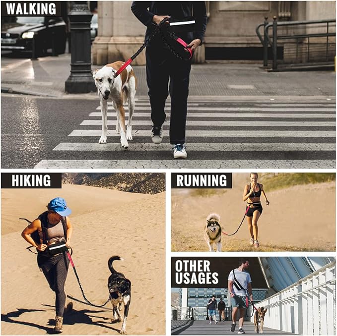 Comfortable No Pull Dog Harness Leash