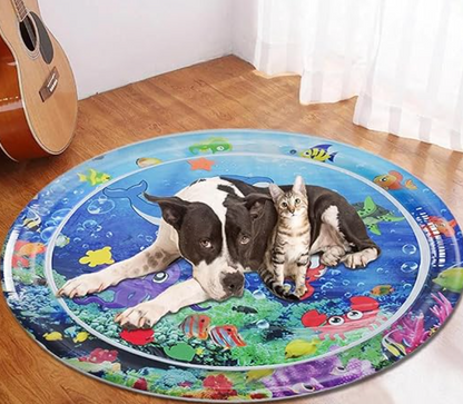 Playful Kitten Entertainment Toy