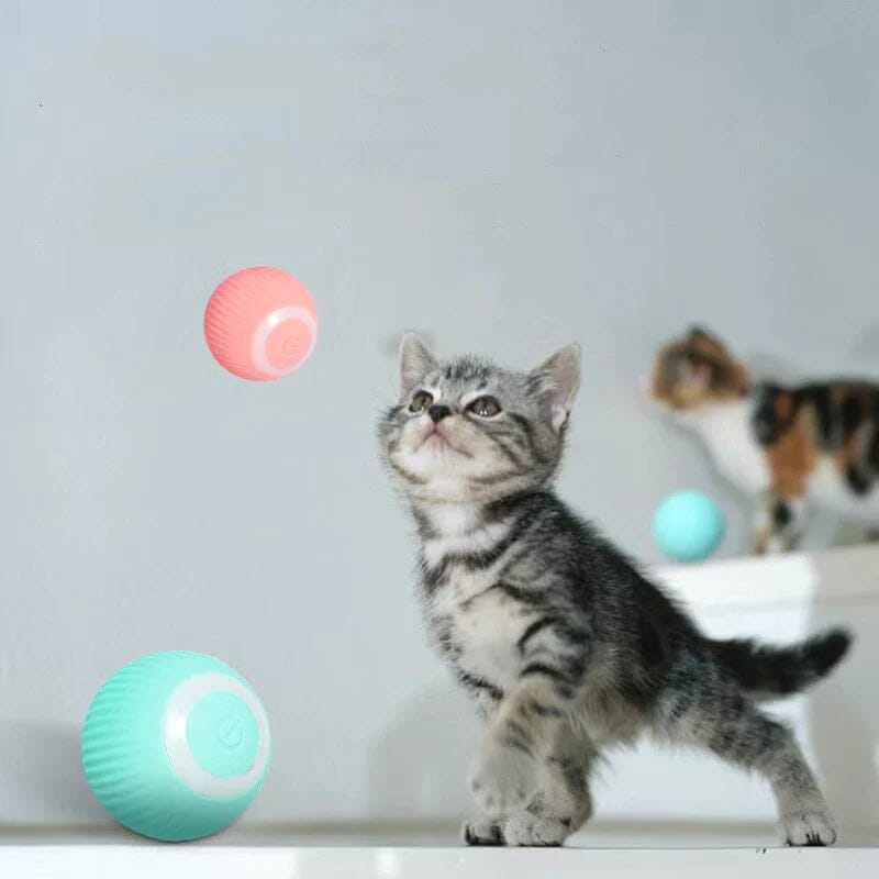 Fun Electronic Pet Play Ball