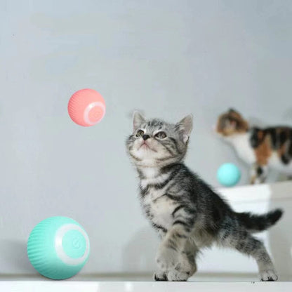 Interactive Automatic Cat Play Ball Toy