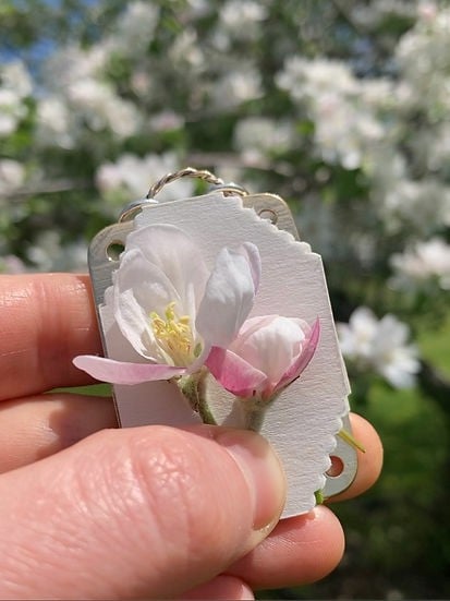 Easy Flower Drying Kit Home Preservation