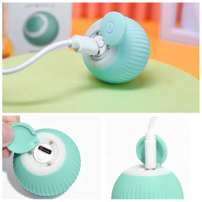 Interactive Automatic Cat Play Ball Toy