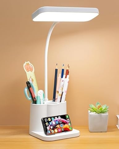 Stylish Contemporary Desk Light - Luxicro