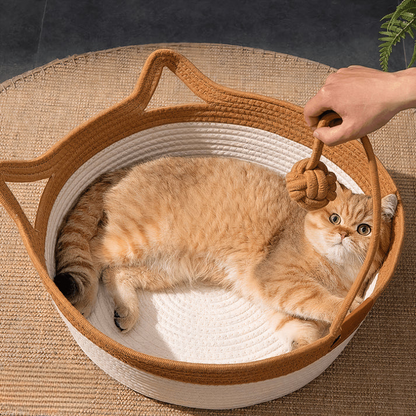 Cozy Kitty Sleeping Bed