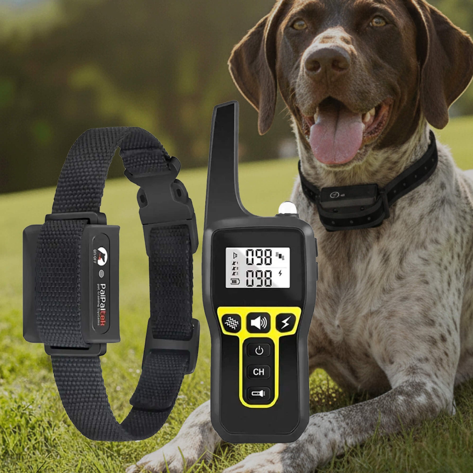 Long Range Waterproof Dog Training Collar - Luxicro