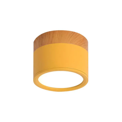 Slim Modern LED Ceiling Light