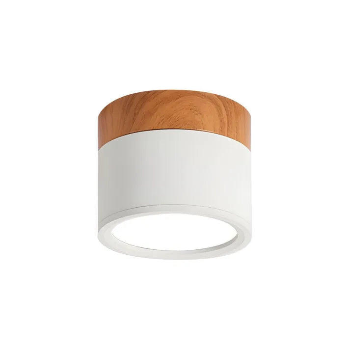 Slim Modern LED Ceiling Light