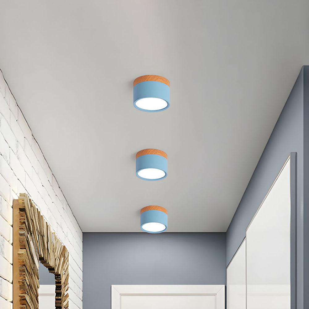 Slim LED Ceiling Light – Modern Overhead Lamp for Home - Luxicro