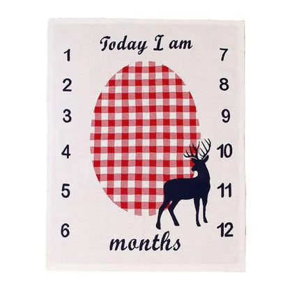 Custom Baby Blanket with Age Milestones