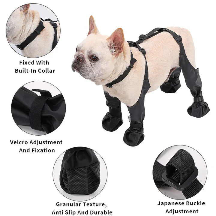 Cozy Dog Paw Shoes