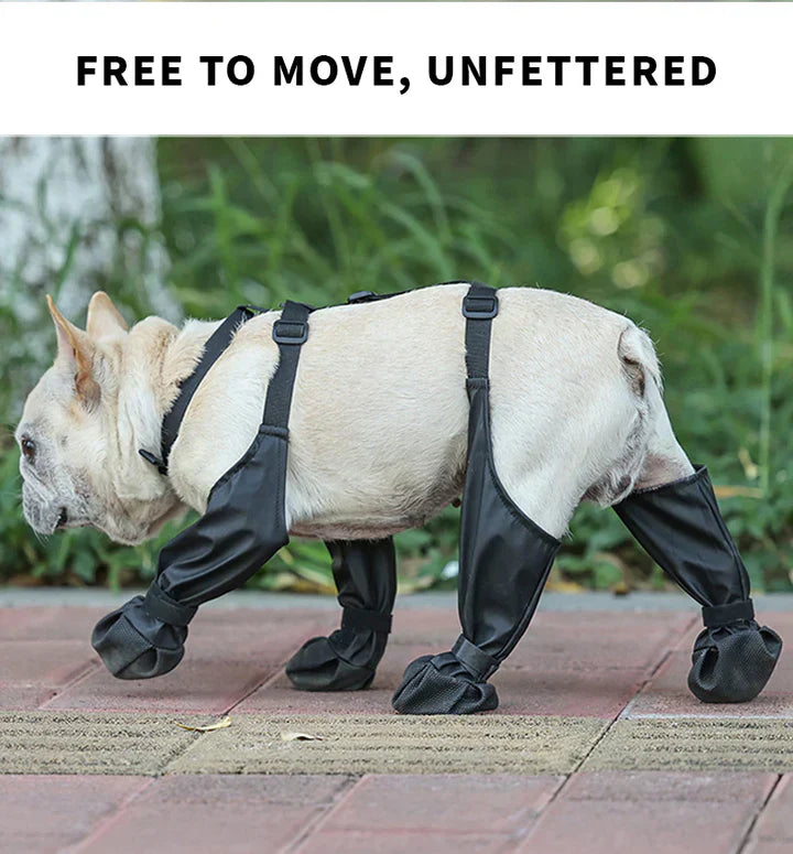 Cozy Dog Paw Shoes