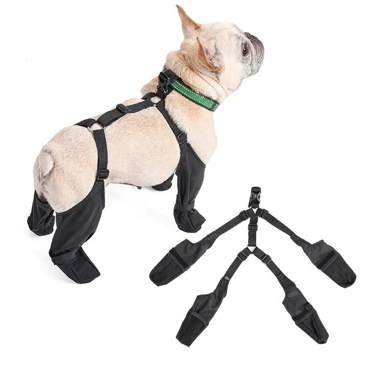 Cozy Dog Paw Shoes