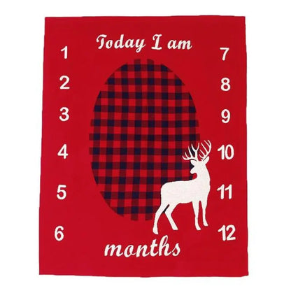 Custom Baby Blanket with Monthly Growth Tracker