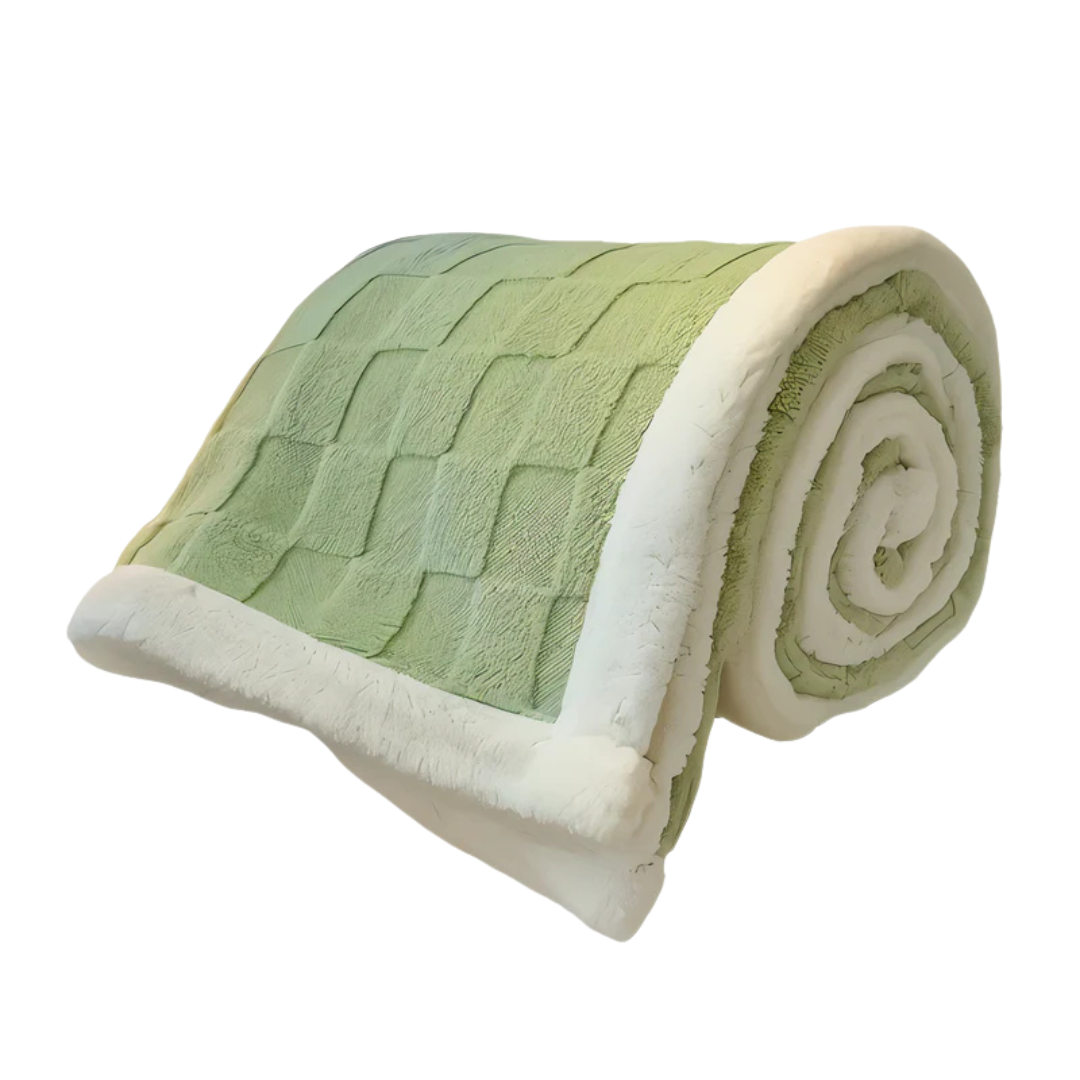 Cozy Ultra Soft Fuzzy Throw Blanket