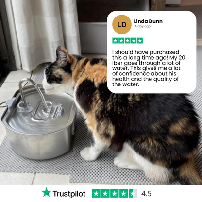Easy Clean Pet Water Dispenser Fountain
