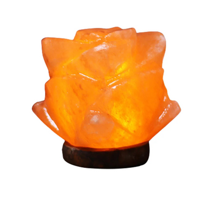 Natural Salt Crystal Table Lamp with Wood Base
