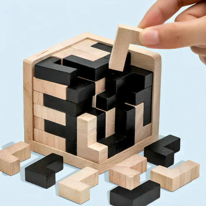 Difficult Wooden Brain Teaser Puzzle Set - Luxicro