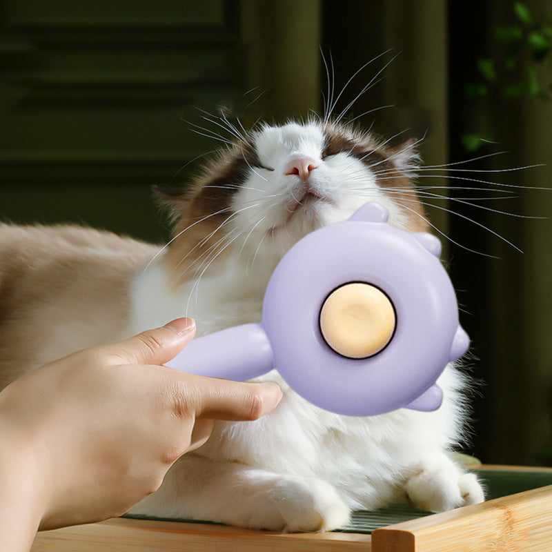 Pet Hair Removal Cleaning Brush