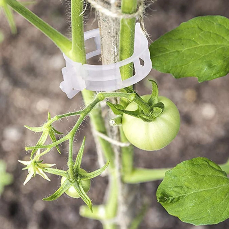 Easy Plant Stem Clip Holder