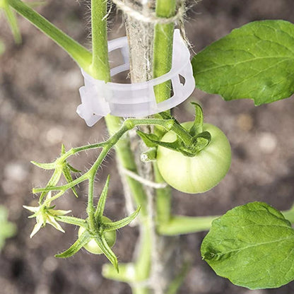 Easy Plant Stem Clip Holder