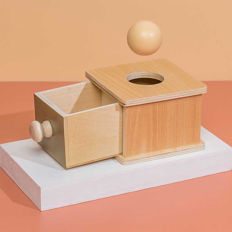 Fun Educational Toy Box Set for Kids - Luxicro