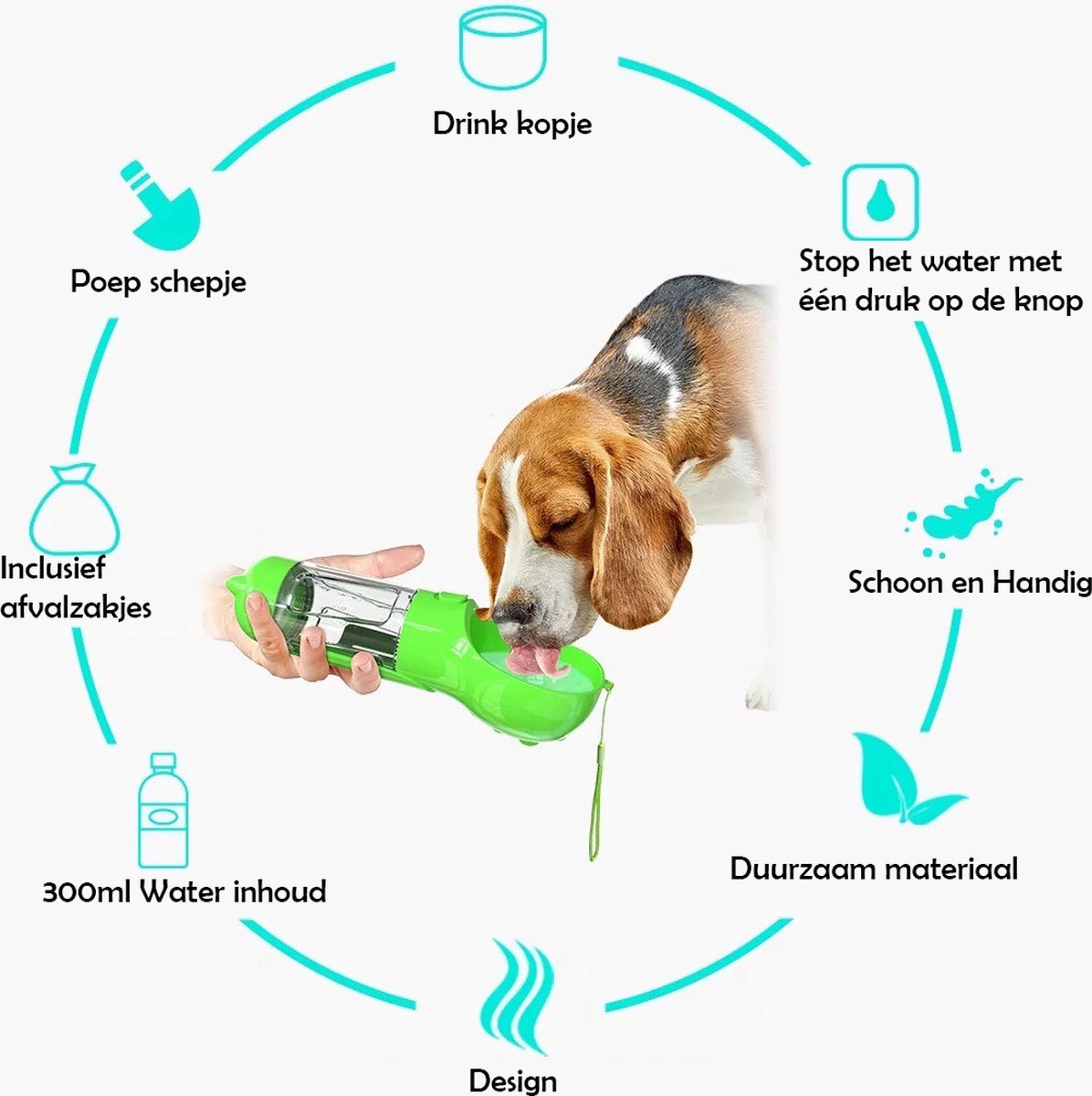 Automatic Pet Food Dispenser