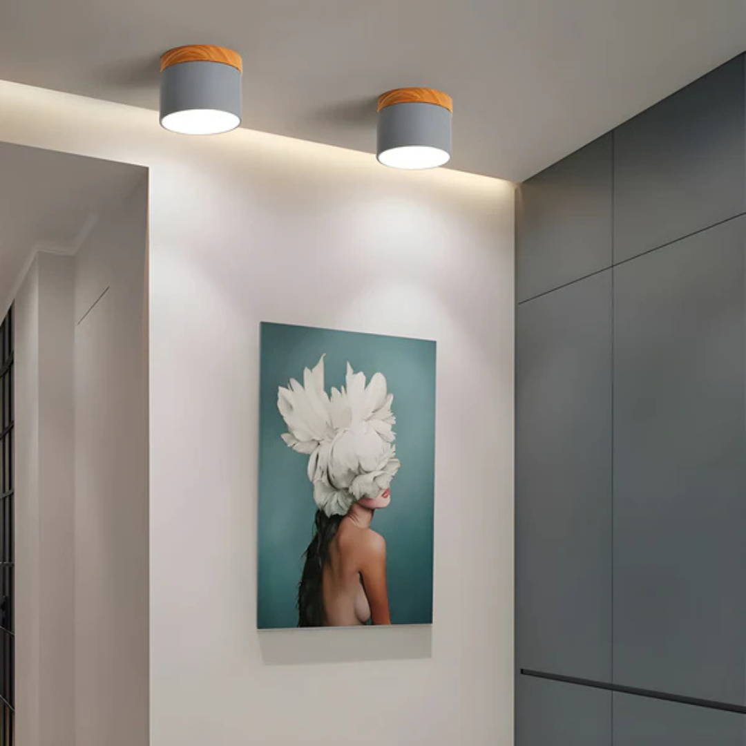 Vintage Look LED Ceiling Lamp - Luxicro