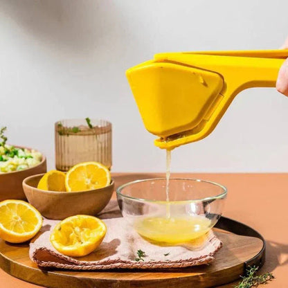 Easy To Use Juice Extractor Machine
