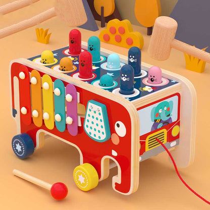 Colorful Kids Educational Music Instrument - Luxicro