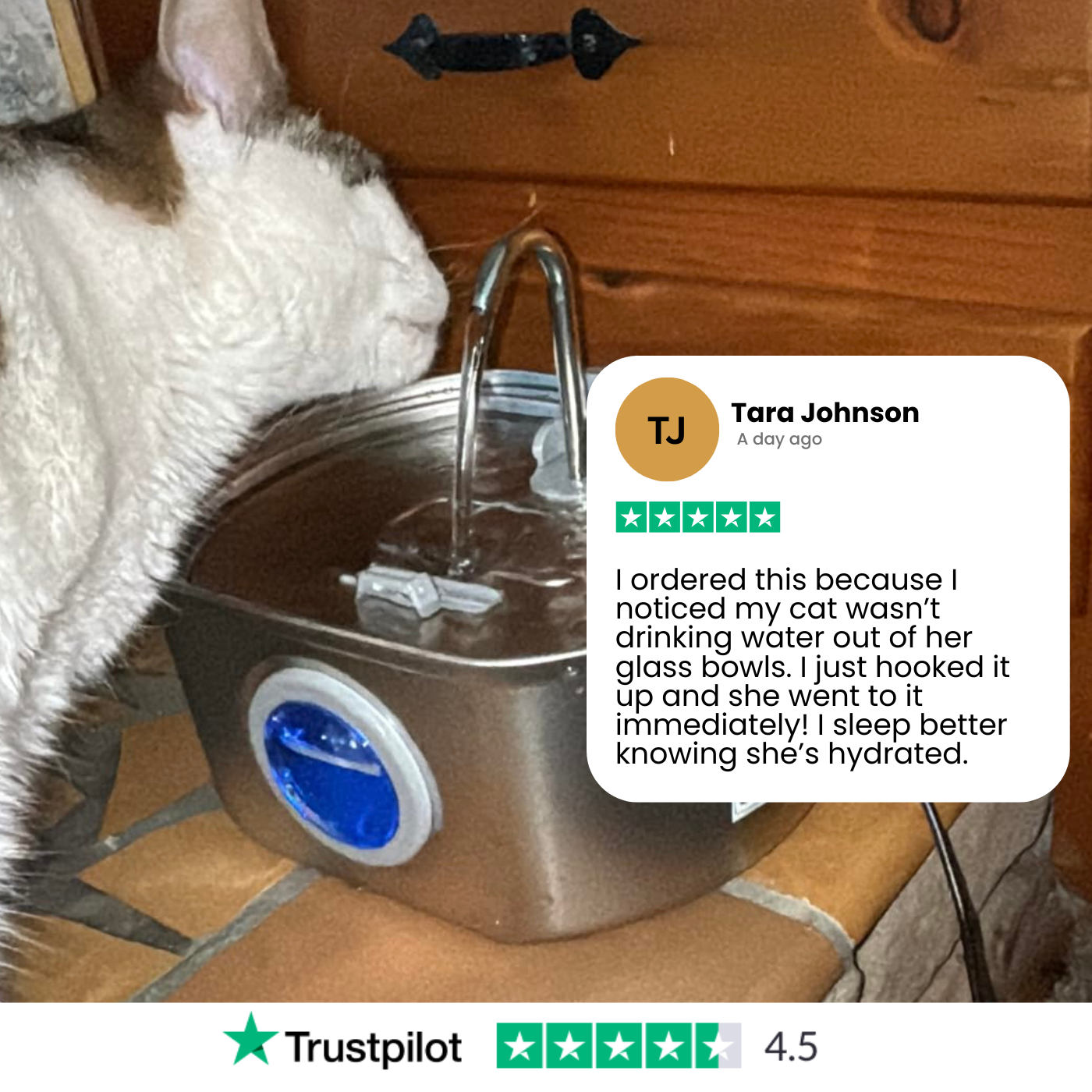 Easy Clean Pet Water Dispenser Fountain
