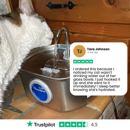Easy Clean Pet Water Dispenser Fountain