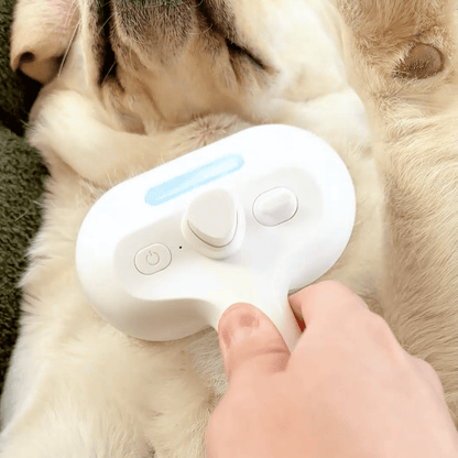 Easy Pet Grooming Steam Brush for Dogs