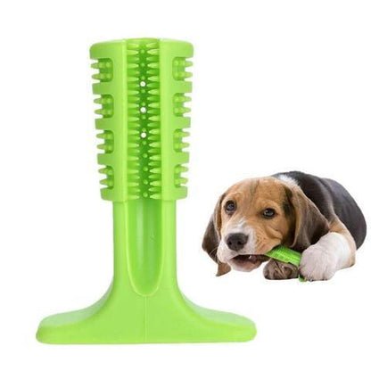 Best Dog Toothbrush for Healthy Teeth