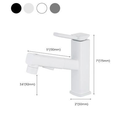 Stylish Lever Handle Kitchen Faucet with Rotating Spout