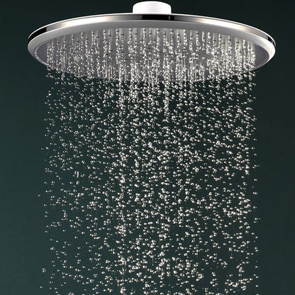 Premium Stainless Steel Shower Head System