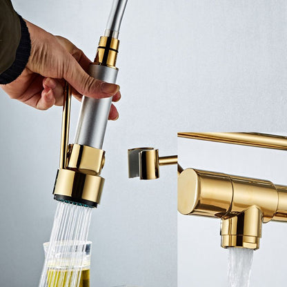 Premium 3-Function Brass Kitchen Sink Faucet Tap