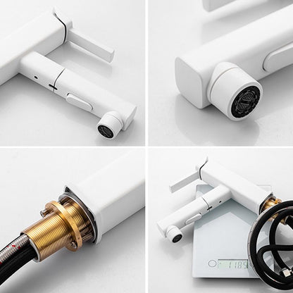 Stylish Lever Handle Kitchen Faucet with Rotating Spout