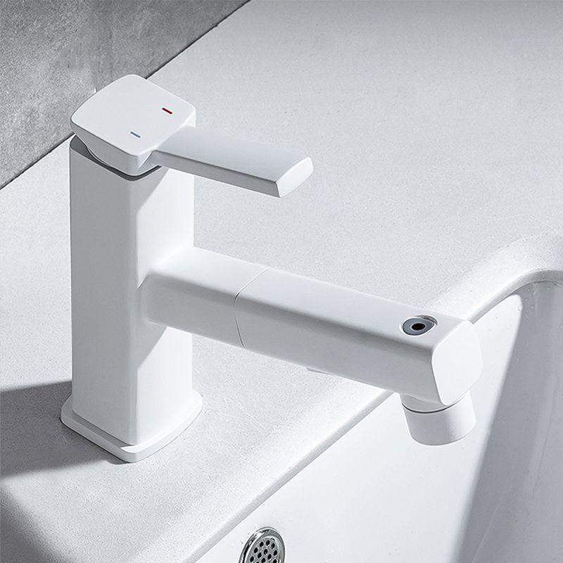 Stylish Lever Handle Kitchen Faucet with Rotating Spout