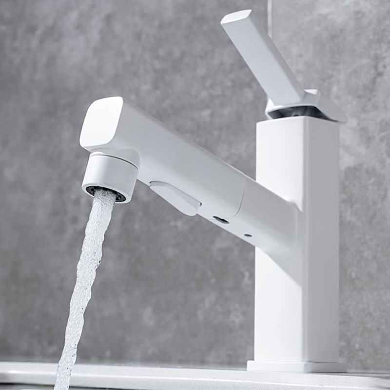Stylish Lever Handle Kitchen Faucet with Rotating Spout