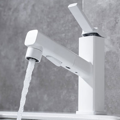 Stylish Lever Handle Kitchen Faucet with Rotating Spout